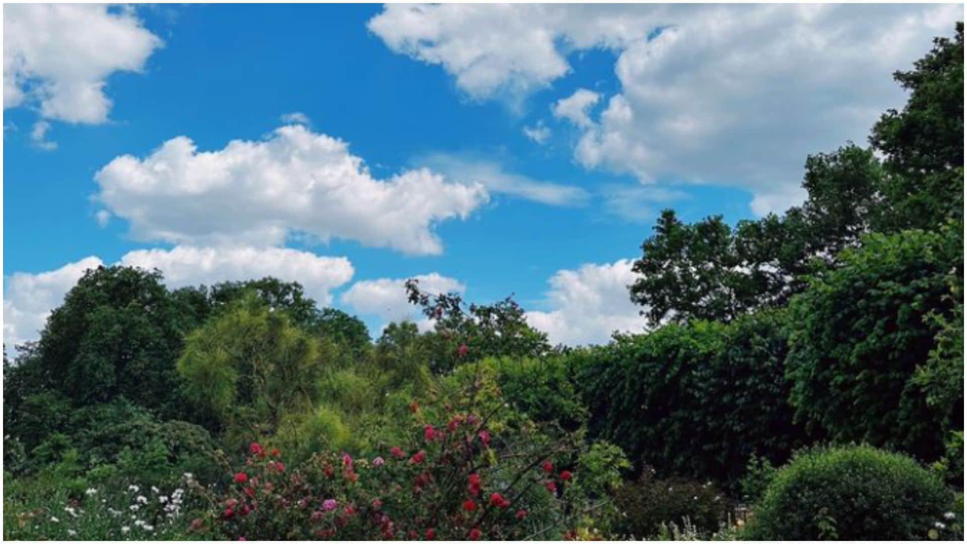 Deepika Padukone enjoying pregnancy period shares picture of Sky says spending time in nature truly relaxing
