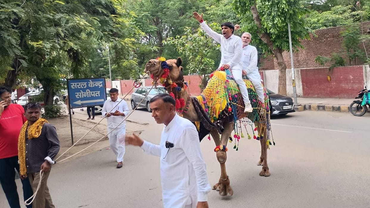 Unique protest in Sonipat, District councilors took out a procession in city sitting on camels