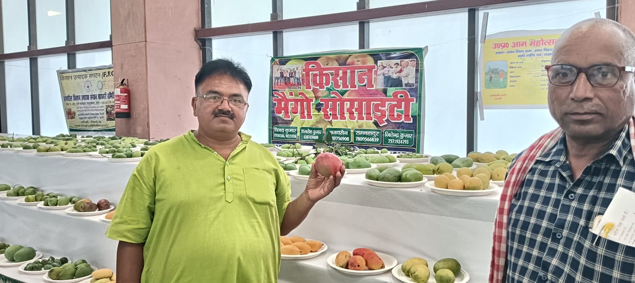 Mango Mahotsav: More than 800 species of mangoes will be seen, farmers from all over the state arrived