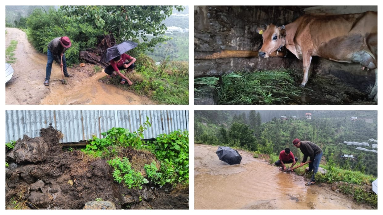 Situation worsened due to rain in Dhansar village of Jubbal, water entered houses, Rampur Bushahr