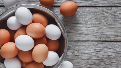 A new strain of bird flu D1.1 variant in usa Can you get bird flu from eating eggs