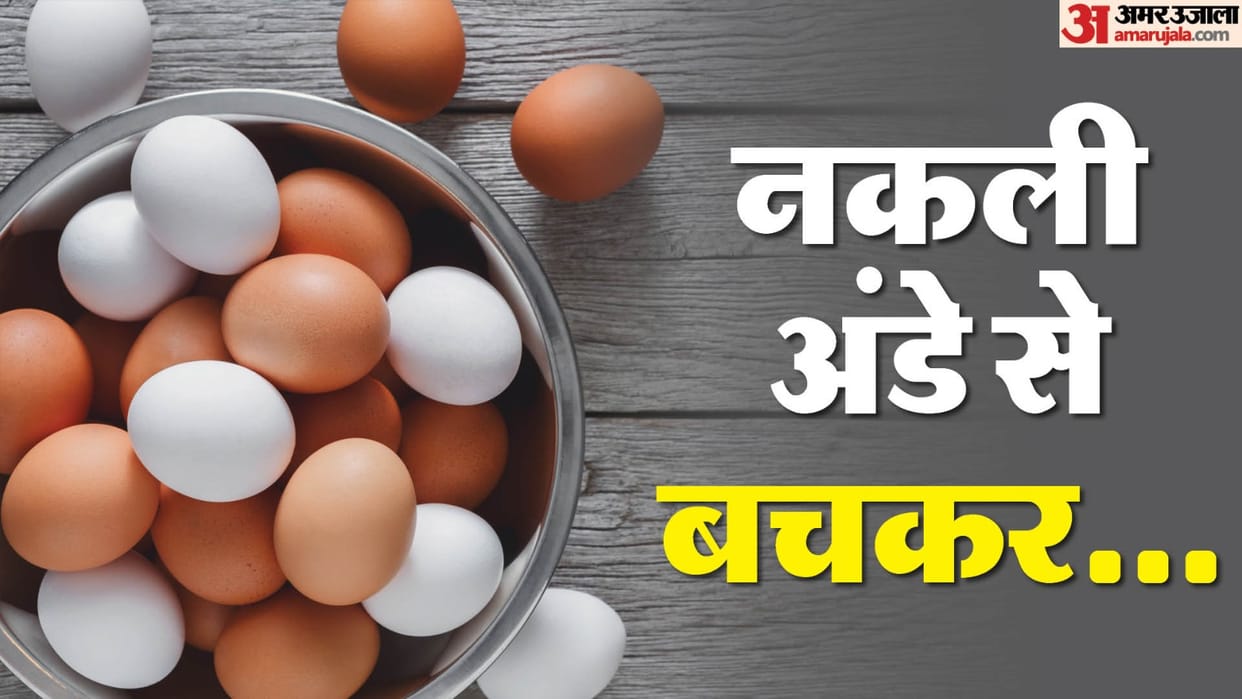 Egg: How To Identify Plastic And Fake Eggs