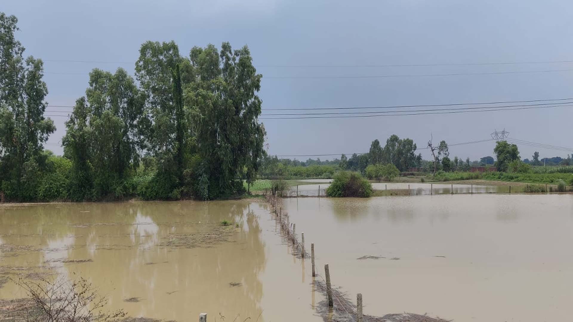 Flood: Ganga water level increased, water reached near villages, crops submerged