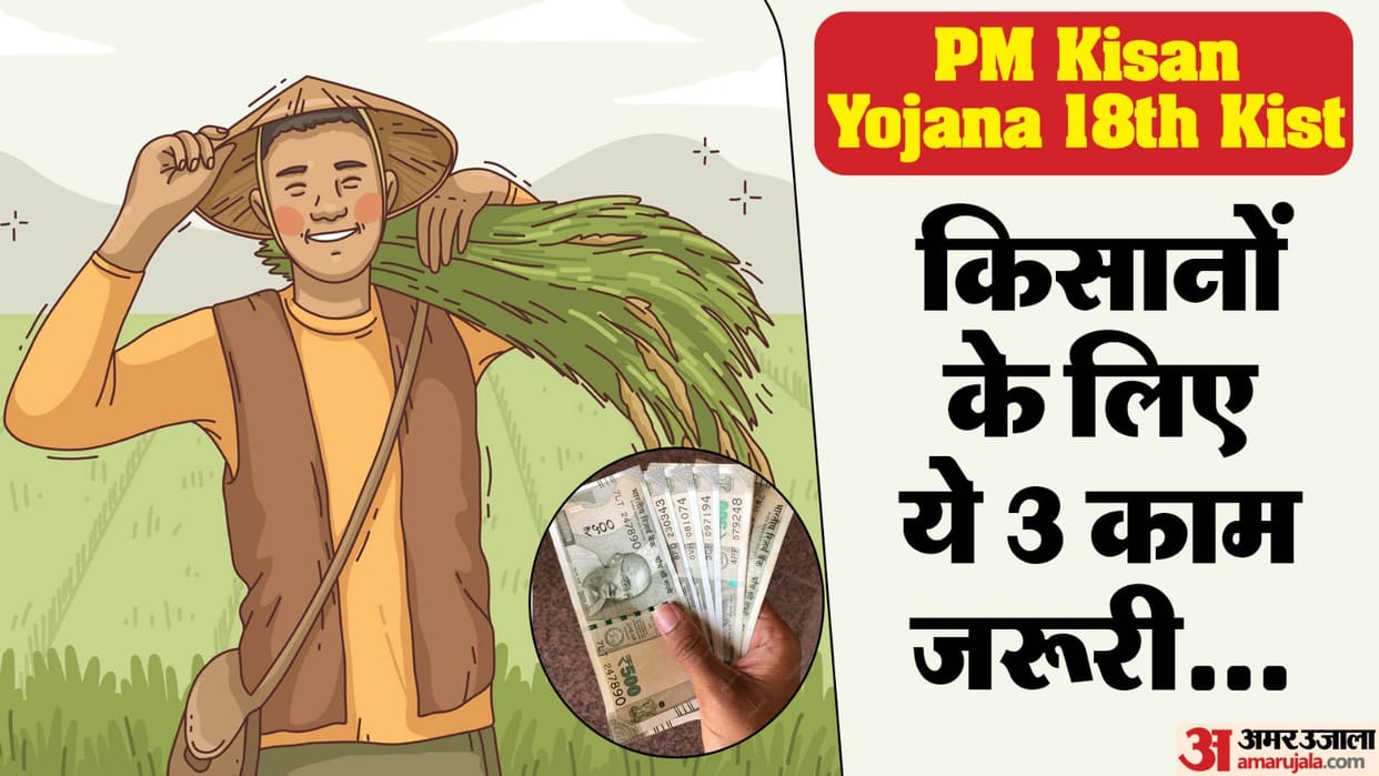 PM Kisan Nidhi: If farmers These Work Are Not Done The 18th kist May Get Stuck