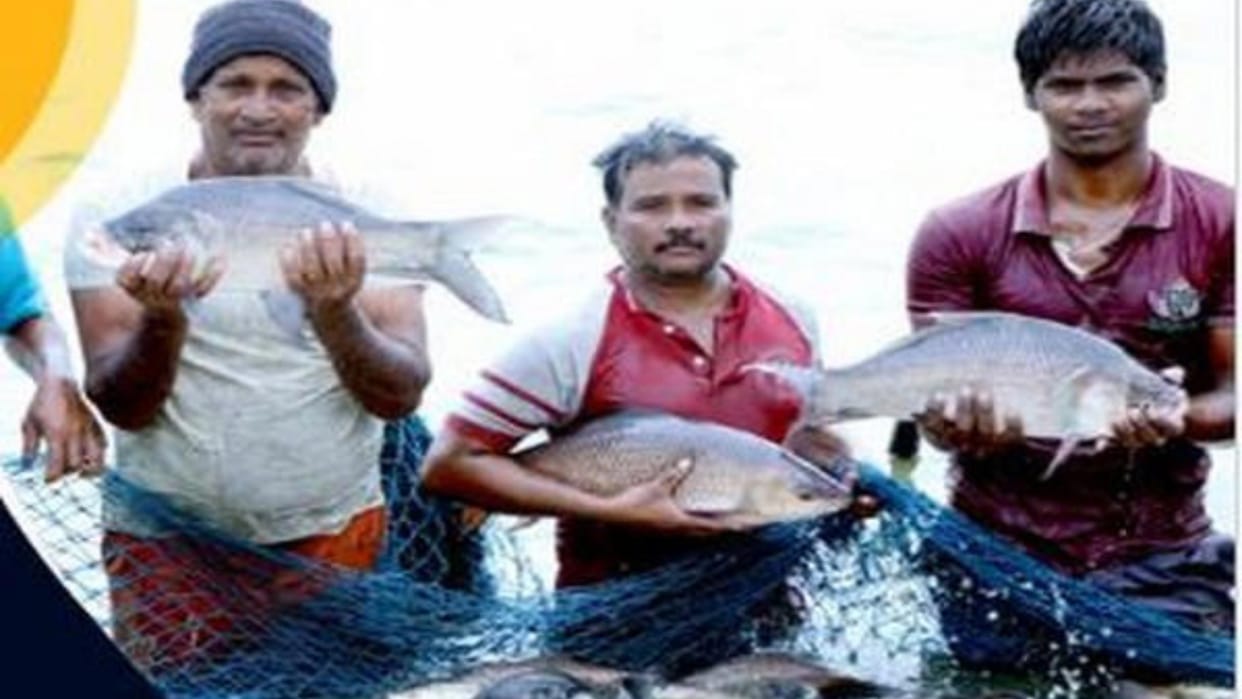 Centre to Launch Over 125 Fisheries Projects Worth More Than Rs 100 Crore in Tamil Nadu on Friday