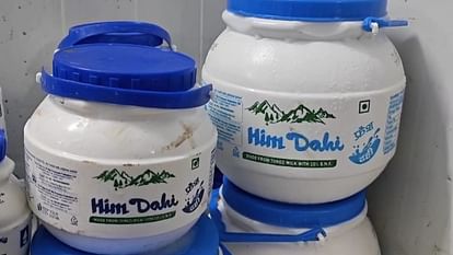 HP Milkfed: मिल्कफेड के तीन उत्पाद अब बड़ी पैकिंग में भी, दही का दो और पांच किलो का मटका भी मिलेगा, जानें दाम HP Milkfed three products are now available in bigger packaging two and five kg pot will also be available