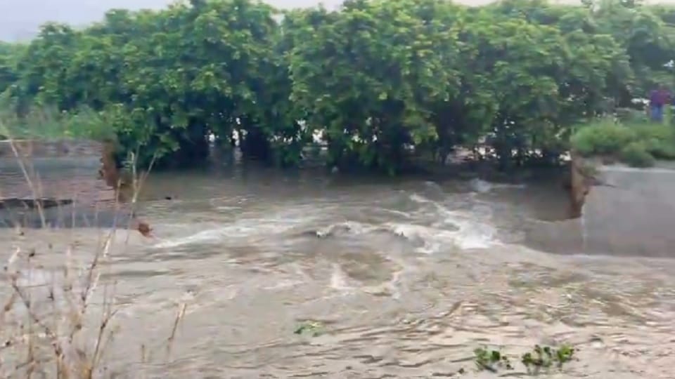 Munak canal broken due to high water pressure