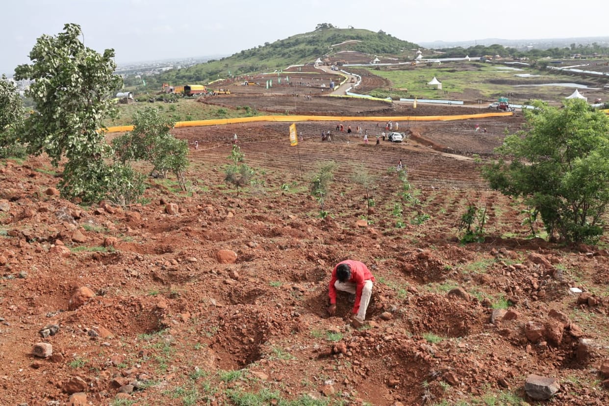 Indore: 11 lakh saplings will be planted in 9 sectors, Guinness Book team came to Indore to see the record.