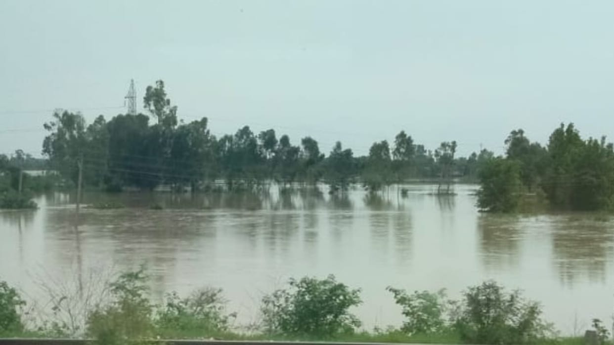 water level of Bahgul river increased in Bareilly