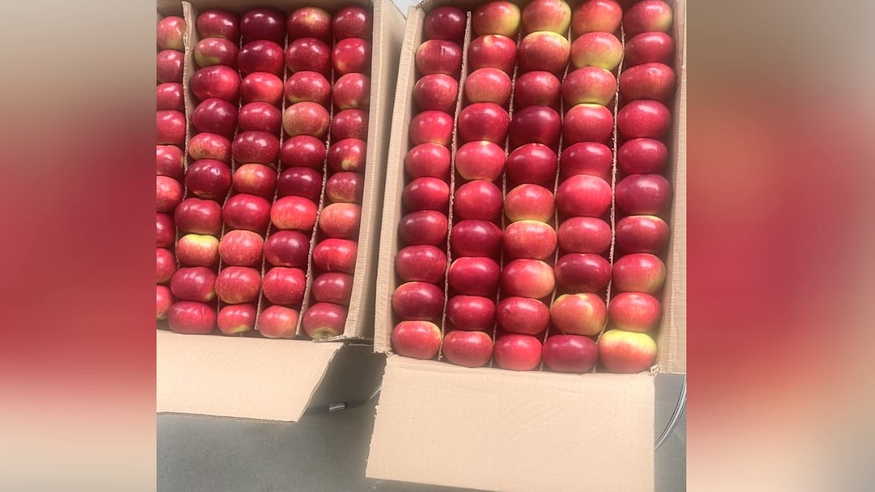 Uttarakhand Government will provide grants of up to four crore rupees for apple cold storage facilities