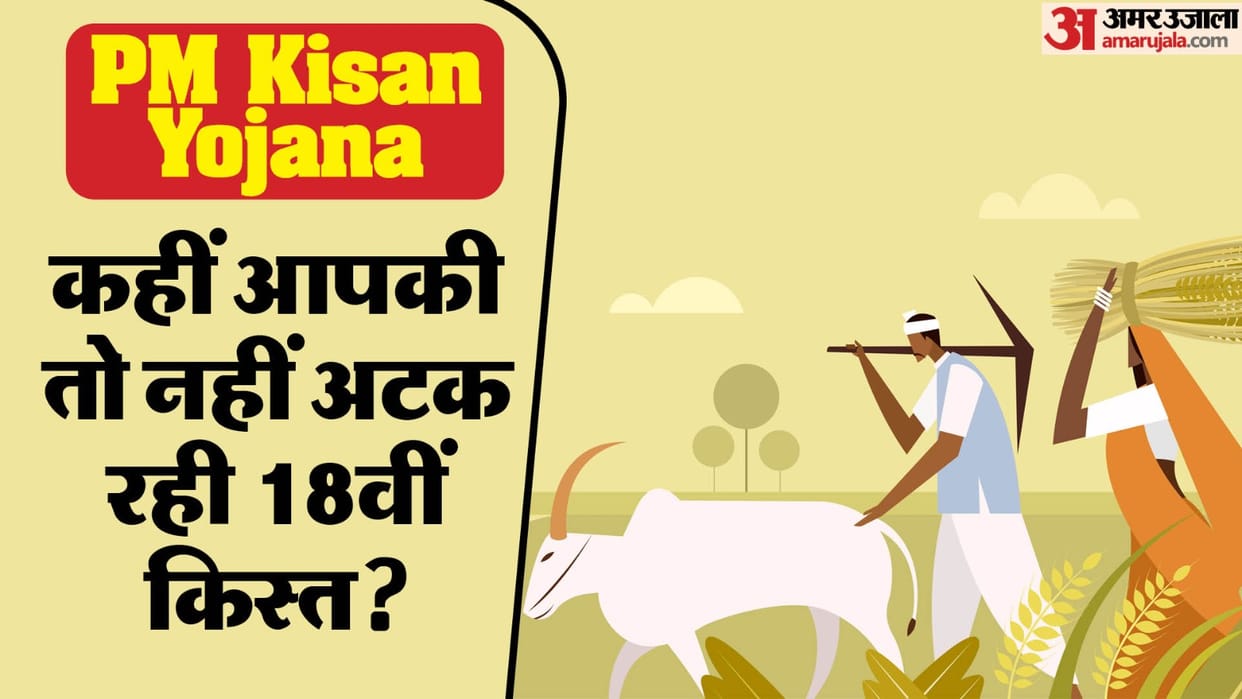 PM Kisan Nidhi 18th Kist May Get Stuck For These Farmers check here reason