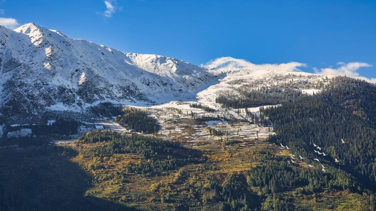 IRCTC Shimla, Manali And Chandigarh Tour Package 2024 From Ahmedabad Check Complete Details Here
