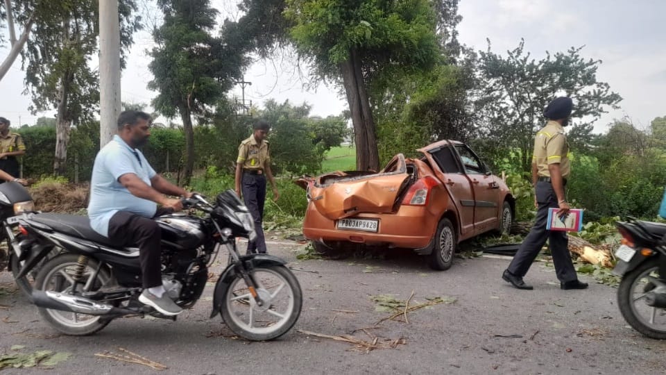 tree fell on moving car on Kotkapura Road in Faridkot, girl died