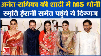 Anant-Radhika Wedding: These stalwarts including Smriti Irani attended Anant-Radhika's wedding