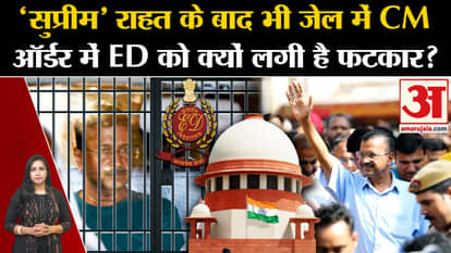 Arvind Kejriwal Gets Interim Bail: SC has reprimanded ED in its order, big thing written in the order.
