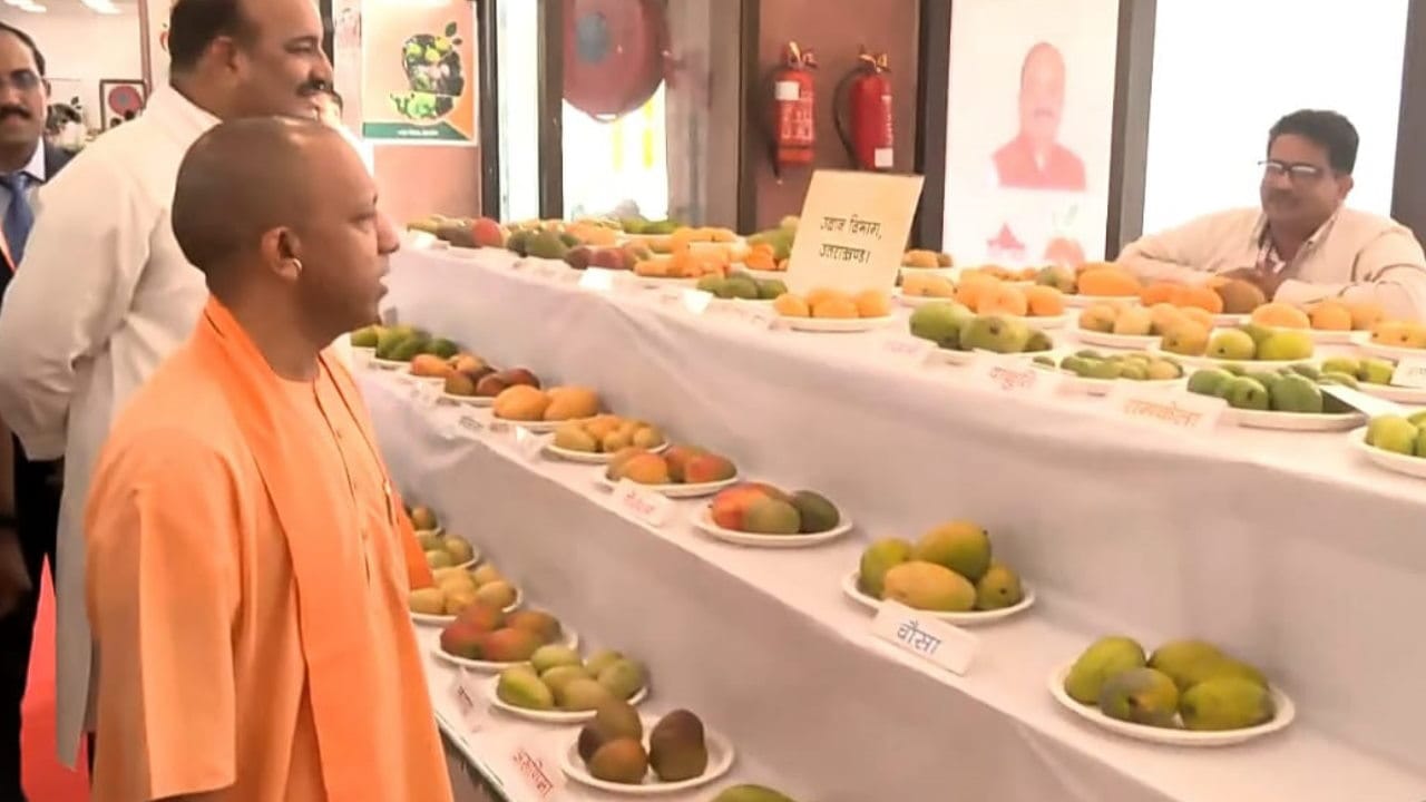 CM Yogi recognized Yamkeshwar mango at Mango Festival and said this is from my birthplace