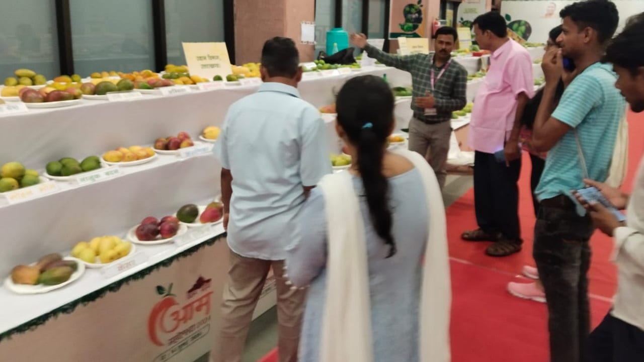 CM Yogi recognized Yamkeshwar mango at Mango Festival and said this is from my birthplace