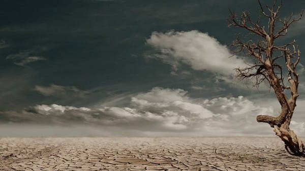 farmers facing Climate crisis situation can improve with climate-friendly agricultural approach