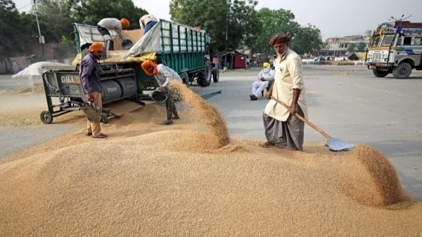Pakistan imposes ban on wheat import, flour export