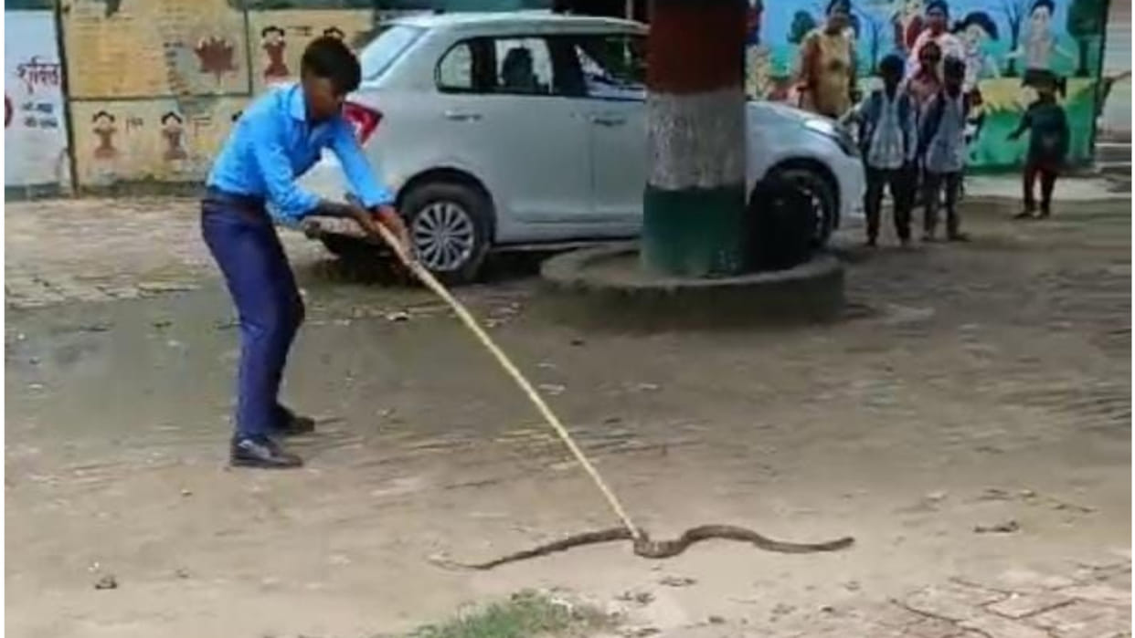 In Gorakhpur, Snake entered the school.created panic