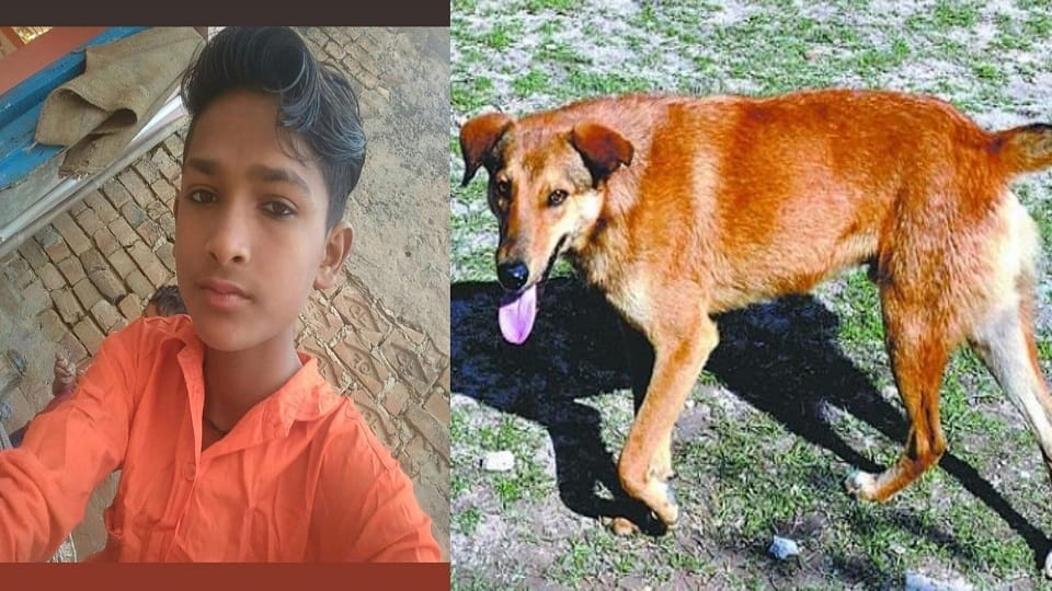 Rabies was caused by licking not by dog bite young man made this mistake died within 30 days