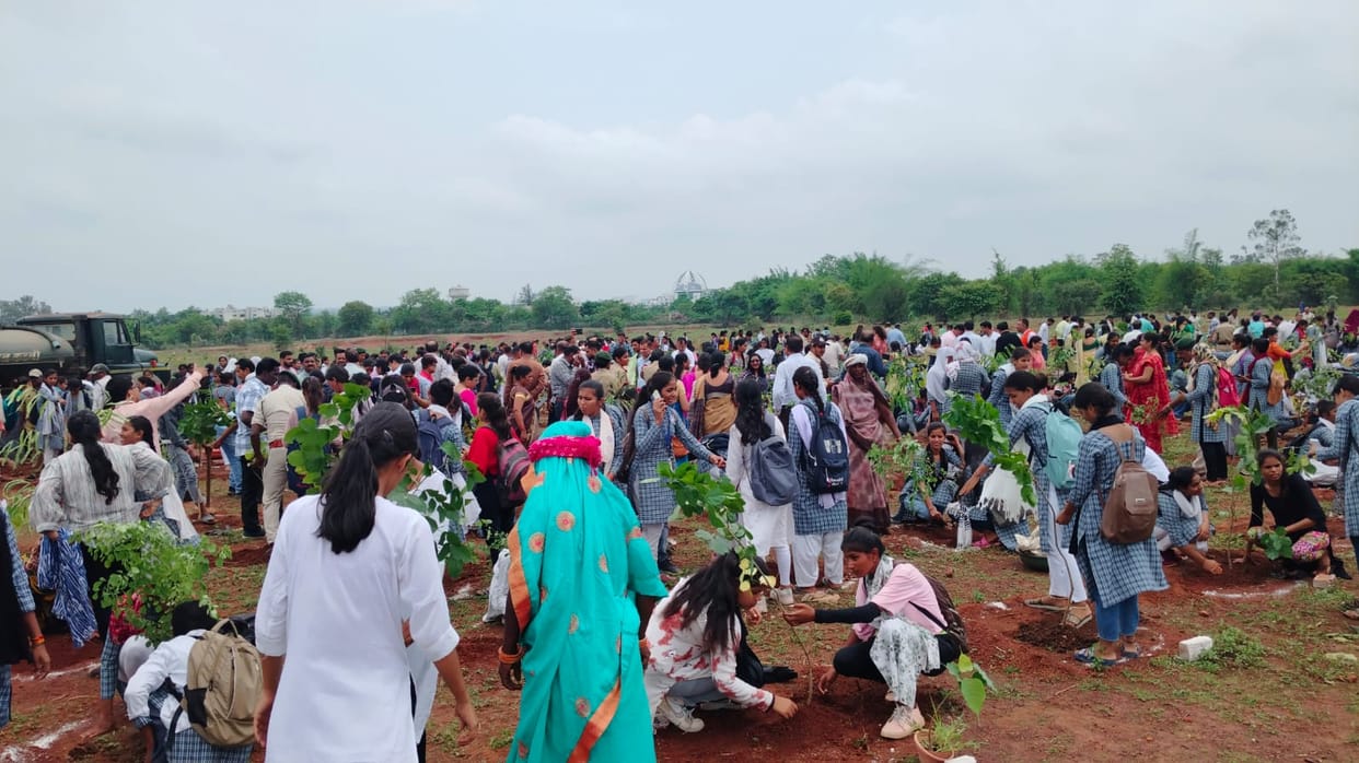 MP News: 15 thousand saplings planted in 20 hectares DFO said  Forest city will be built in the name of mother