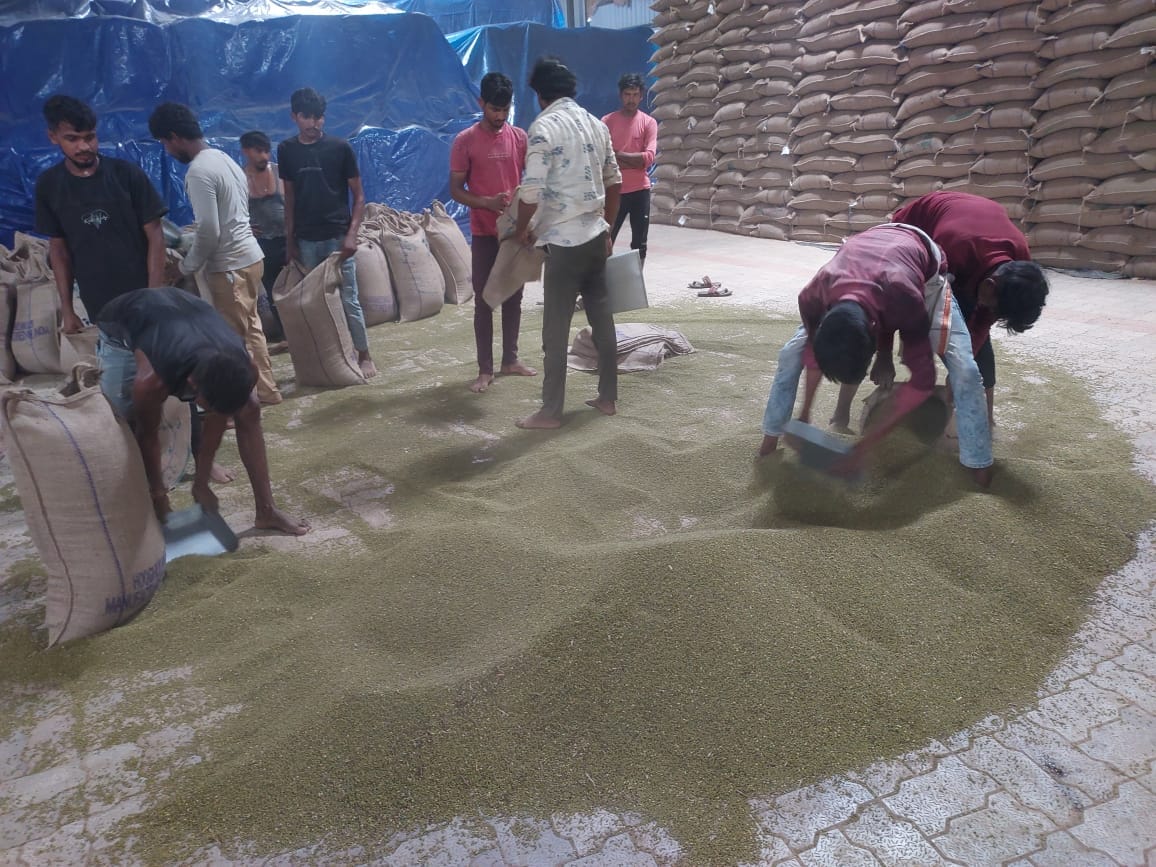 अब 12 क्विंटल प्रति हेक्टेयर खरीदा जाएगा मूंग।