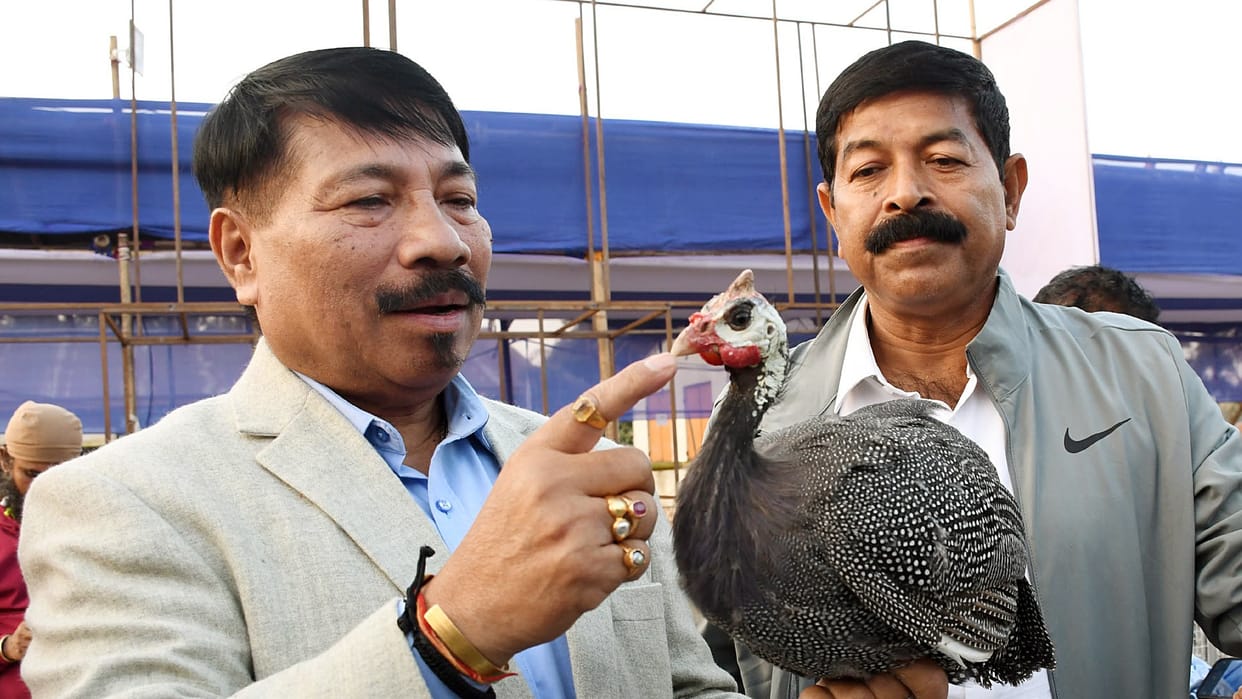 Police complaint filed against Assam minister for 'illegally' administering injections to animals