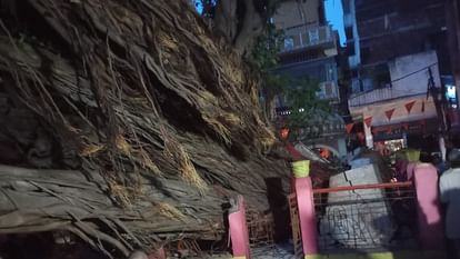 Bihar News : A huge hundred years old tree fell in Gaya, school and house damaged