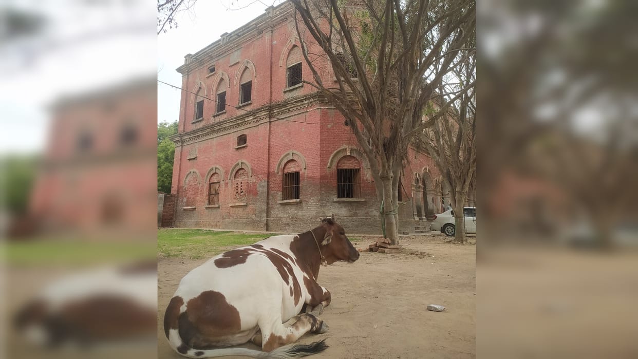 Mission Admission: Dr. Ghosh Modern's teacher Rizwana has not come to school for six years