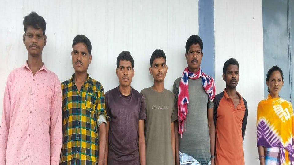 Seven Maoists including a female Naxalite with a reward of Rs 3 lakh arrested in Bijapur