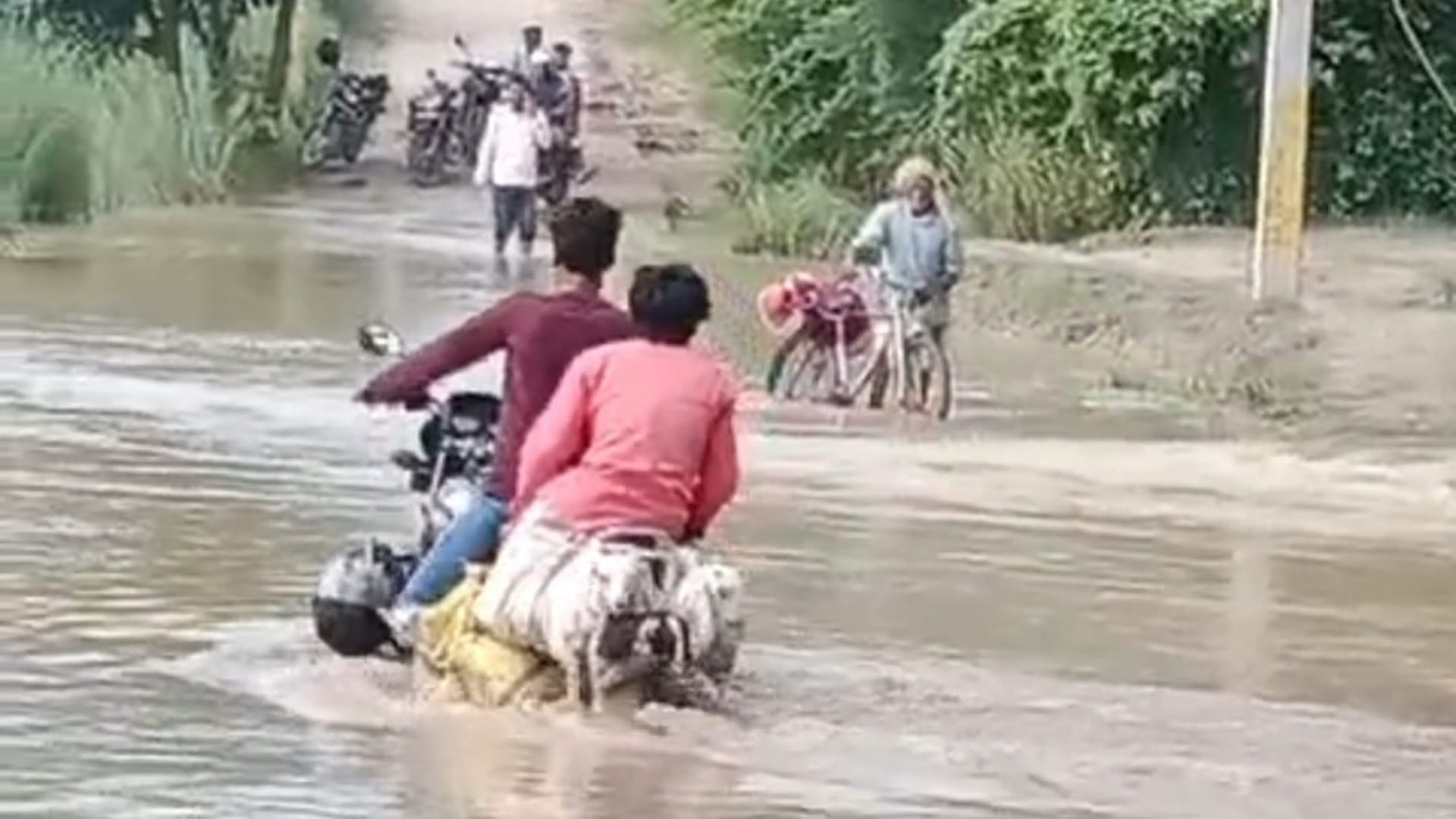 Muzaffarpur: Due to rising water level of Bagmati, many panchayats lost contact; schools-colleges submerged