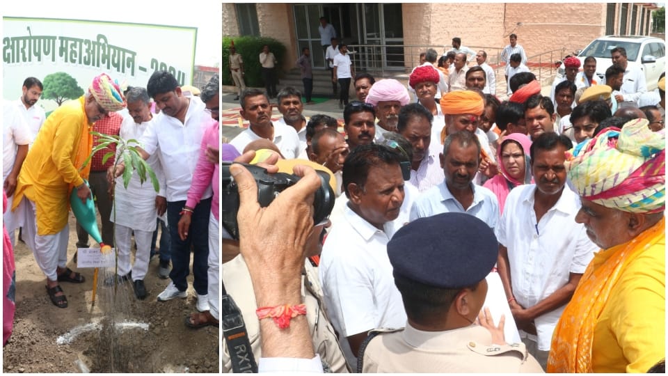 Pali News: Minister in-charge Kharra participated in program in name of mother planted tree in circuit house