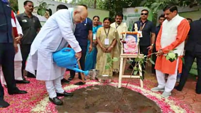 Amit Shah in Indore: Tree Plantation Campaign Madhya Pradesh, Called Lung Of The Country