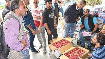18% GST is being collected from apple gardeners on cartons in Himachal