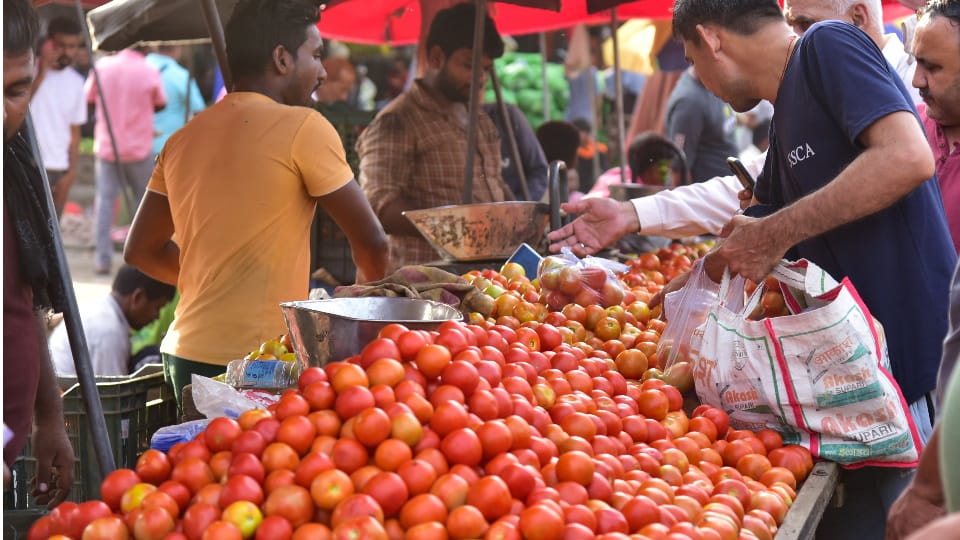 UP: Tomato prices double in one month, NABARD assesses, expectation of softening in two weeks
