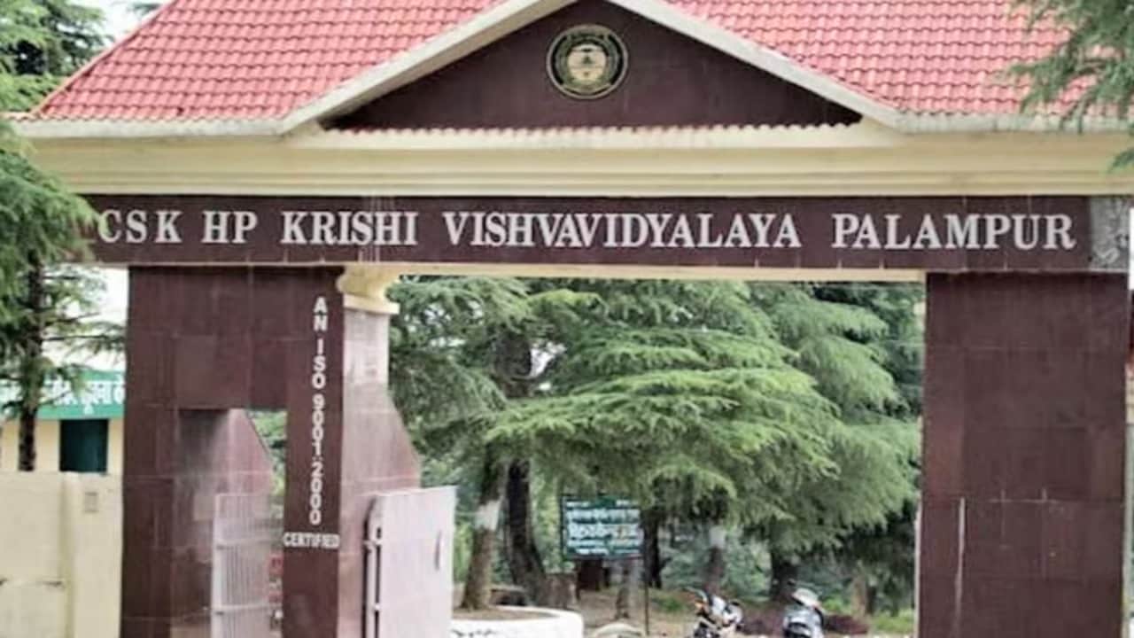 कृषि विश्वविद्यालय पालमपुर।