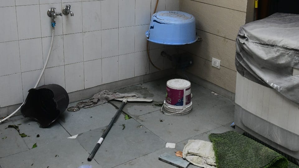 Attack of 50 monkeys... House vandalized, AC wire cut, people locked in rooms out of fear