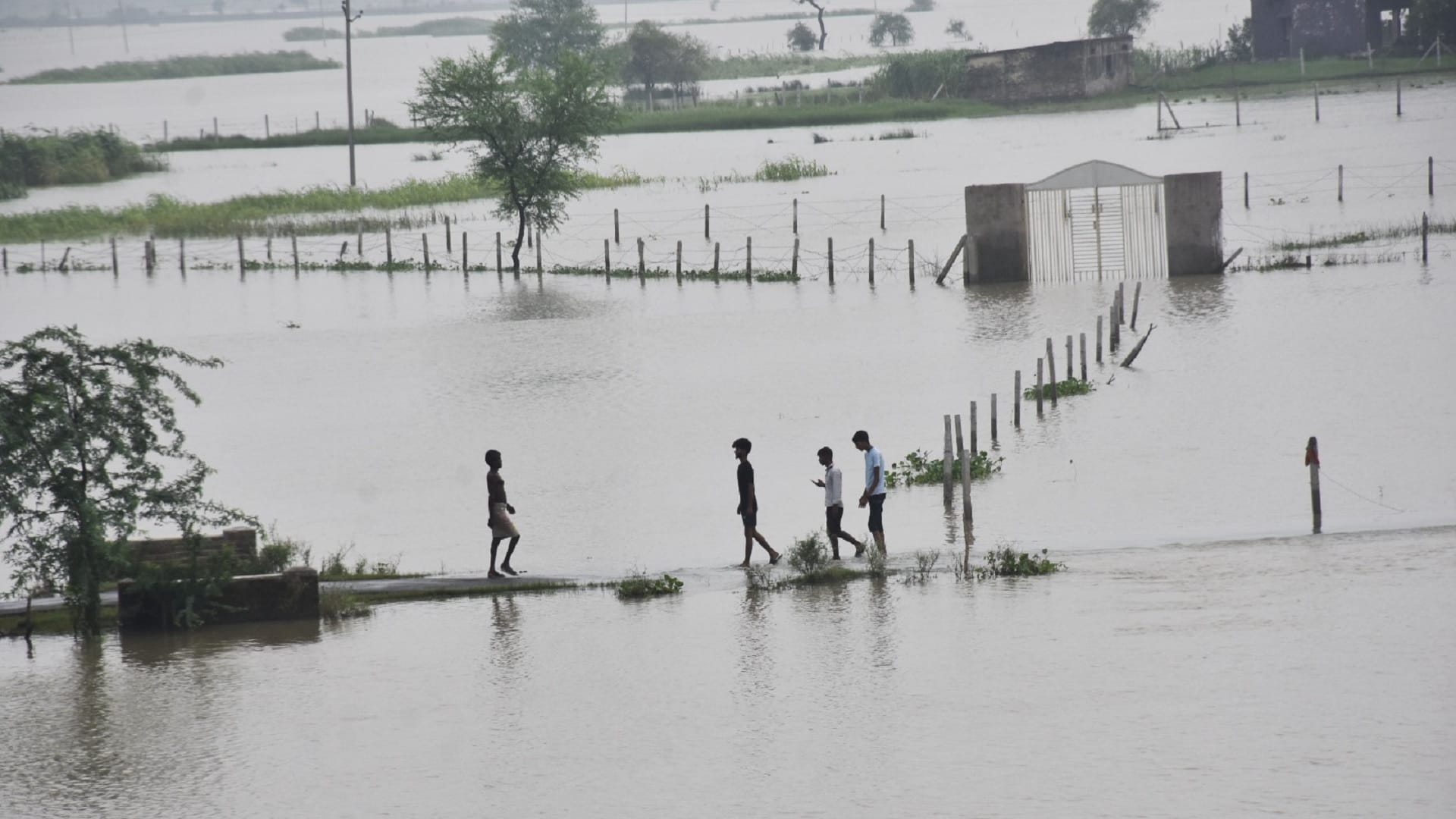 Flood in UP News: How Will Dam Stop Endless Tale of Rain, Flood and Destruction Know Experts Suggestions
