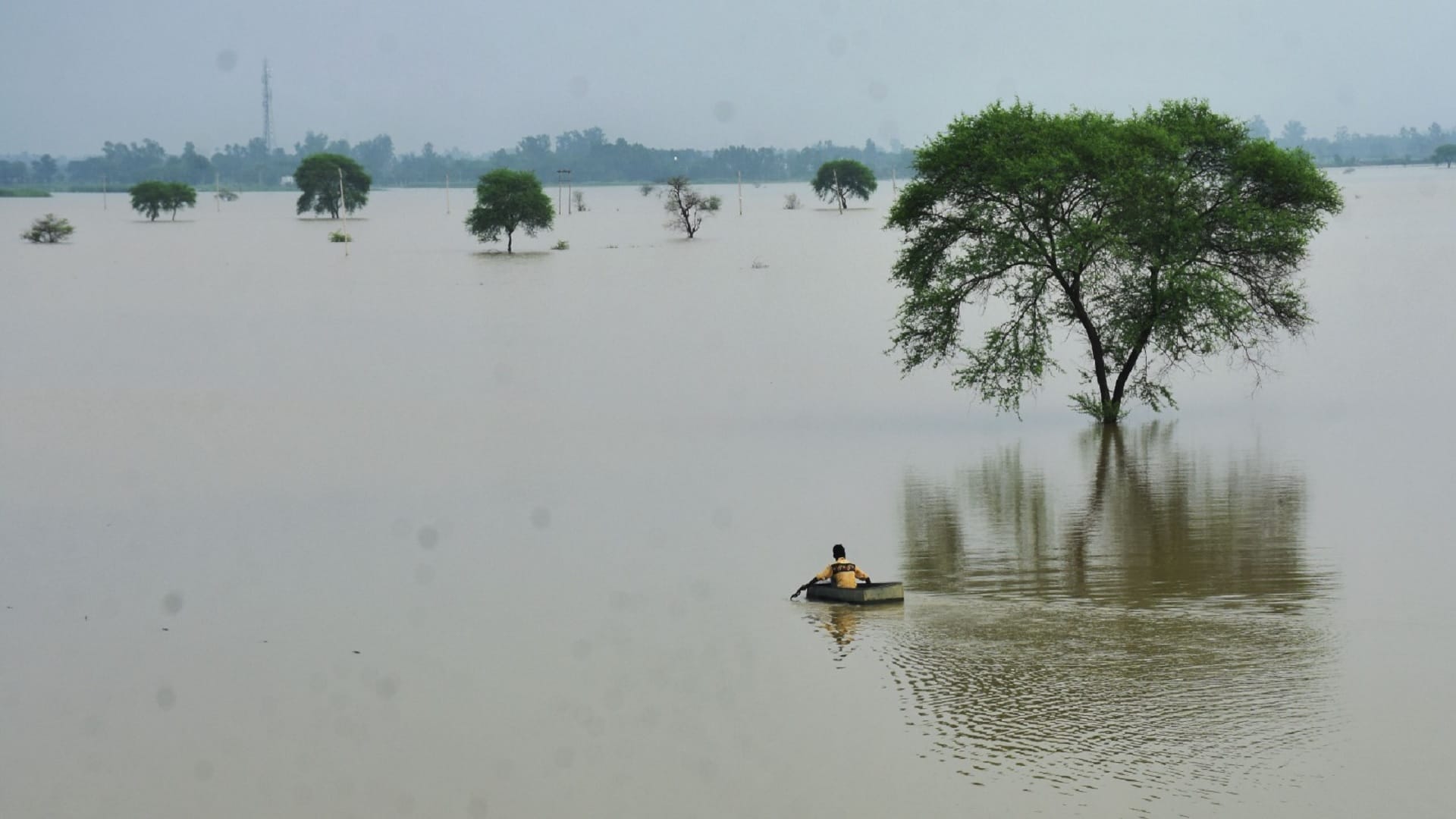 Flood in UP News: How Will Dam Stop Endless Tale of Rain, Flood and Destruction Know Experts Suggestions
