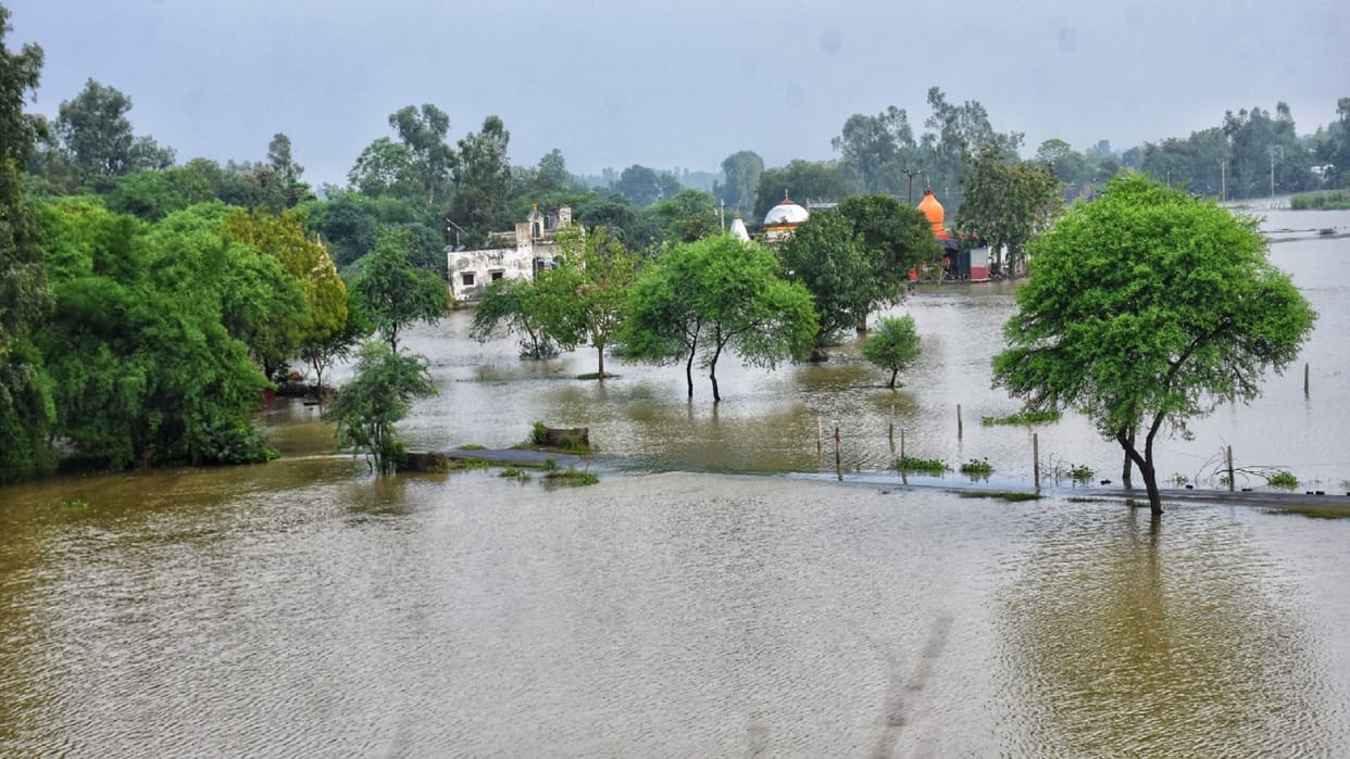 UP: Survey starts in flood effected areas in state.