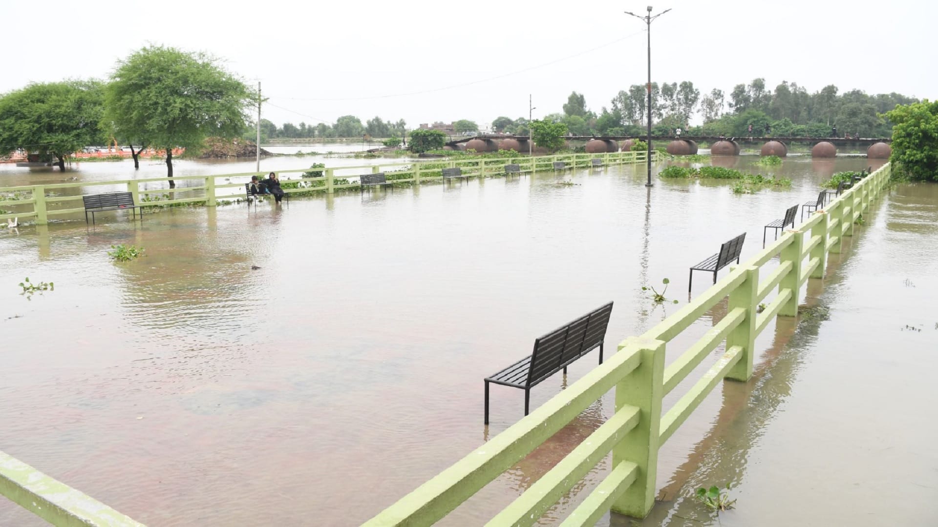 Flood in UP News: How Will Dam Stop Endless Tale of Rain, Flood and Destruction Know Experts Suggestions