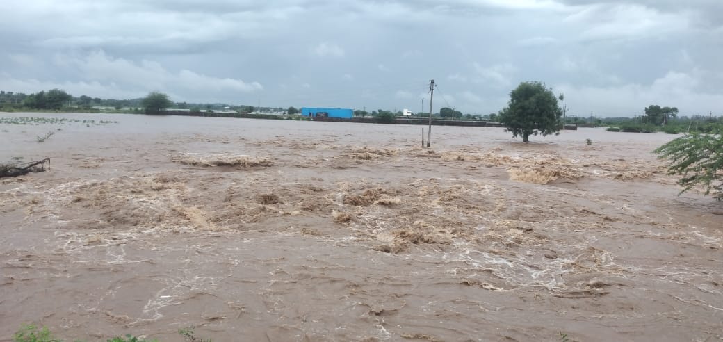 Khandwa: Rain wreaked havoc in Khandwa, at some places crops were destroyed and at some places roads were wash