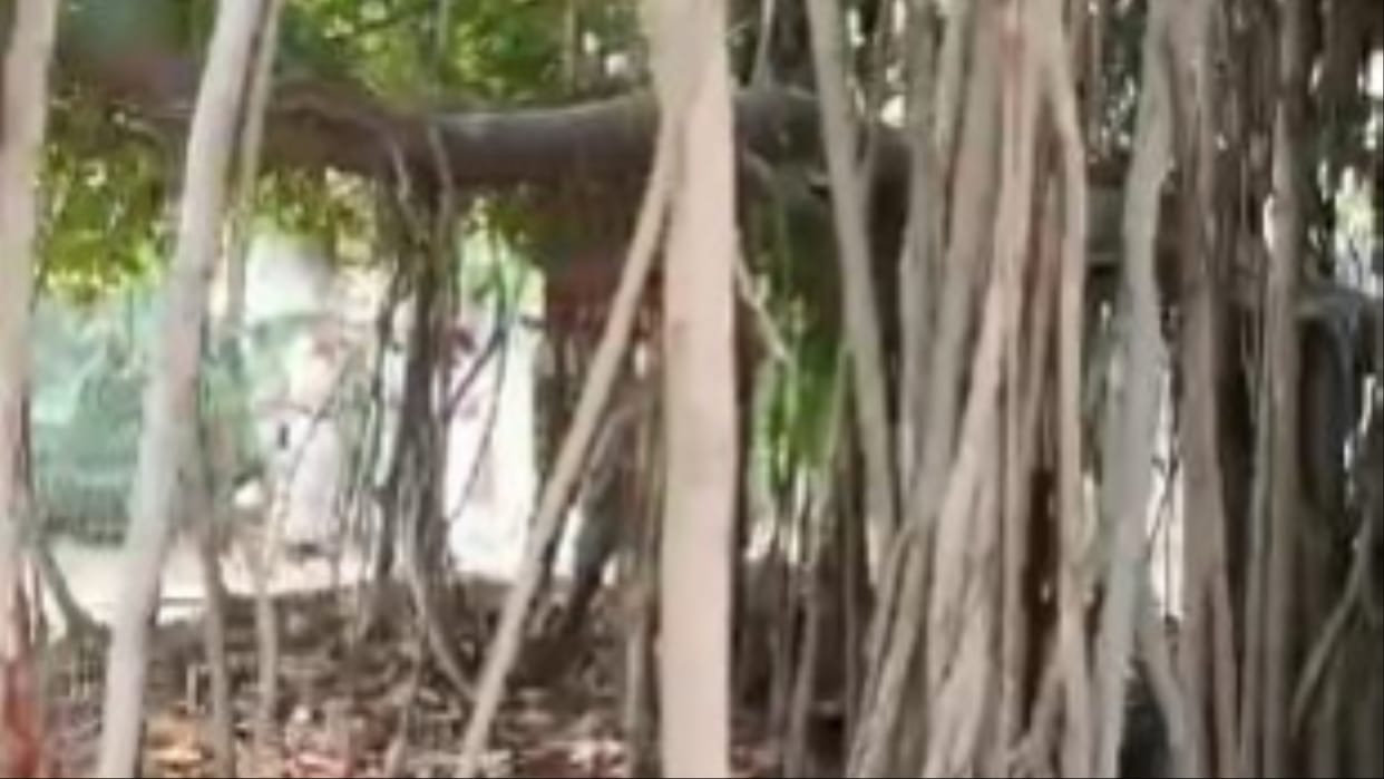 Hisar: Dead body of a young man found hanging from a tree