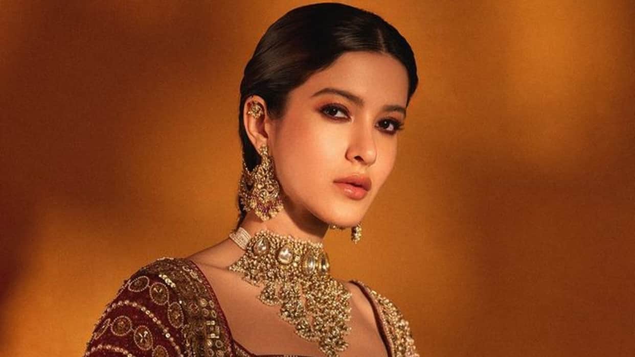 Shanaya Kapoor had sour experience at Anant Radhika wedding Actress Heated Argument With Security Guard