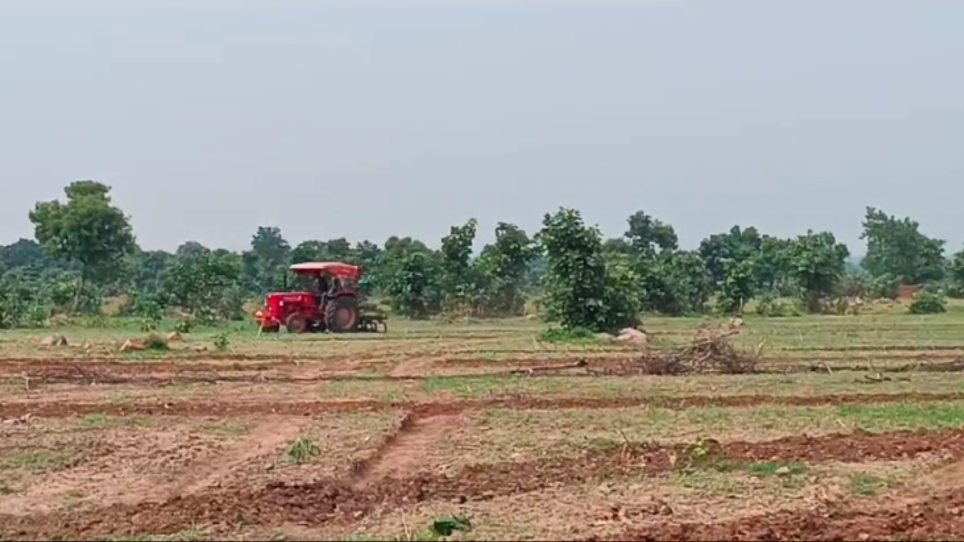 टीकमगढ़ में वन भूमि को अतिक्रमण मुक्त कराया गया।