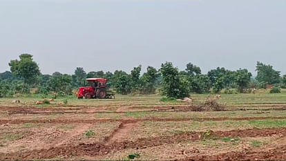 Tikamgarh: वन विभाग ने 80 हेक्टेयर भूमि को अतिक्रमण से मुक्त कराया, दबंगों ने बो दी थी फसल Tikamgarh: Forest Department freed 80 hectares of land from encroachment, the bullies had sown the crop