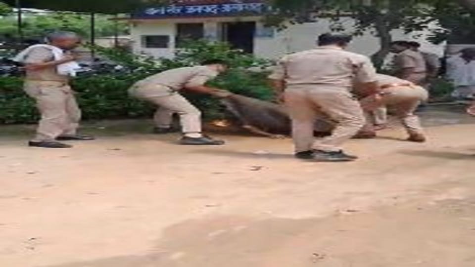 Kalyugi son sets mother on fire in police station