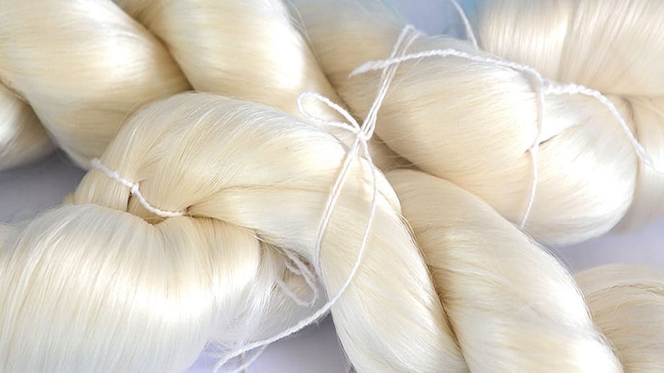 Villagers will become self-reliant through silk production in almora