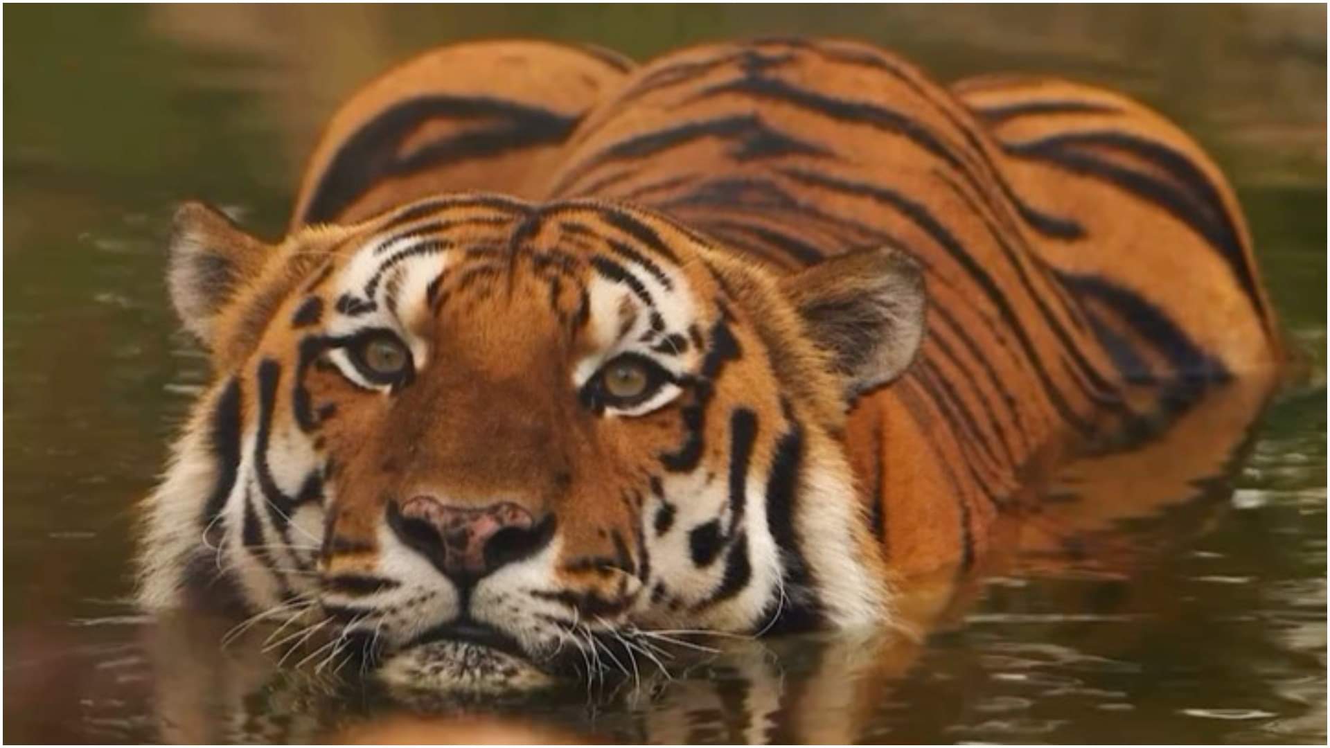 Vacation Spots of Ambani 5 Favourite Holiday destination Around the World